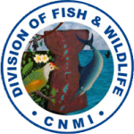 logo-4
